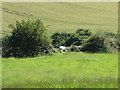 J5344 : Dolmen at Ballyalton by Eric Jones