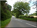 Old Park Road near Philip