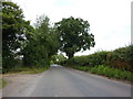 Slaughter Hill near The Bank