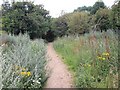 Public Restricted Byway to Bishley Wood