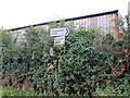 Overgrown signpost