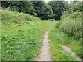 Track into woodland from Bassaleg Road, Newport