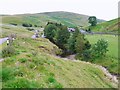 NT8611 : Valley of the River Coquet above Windyhaugh by Andrew Curtis
