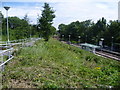 Blackhorse Lane Tramlink stop