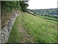 Footpath below Moorside Edge