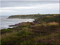 NH9487 : Tarbat Ness: coastline on the southern side by Chris Downer