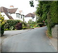 Glasllwch Lane houses, Newport