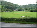 Horses in a paddock beside the Govilon to Llanfoist road