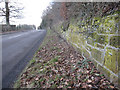 Ferry Road, Eastham and a bench mark