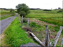 G7982 : Road at Casheloogary by Kenneth  Allen