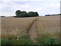 TM2350 : Footpath to Hasketon Road by Geographer