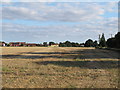 Looking towards Tattingstone Heath