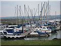 Sailing boats at Hoo Marina