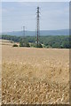 Pylons in wheatfields