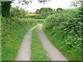 Lane descending towards Red Wharf Bay