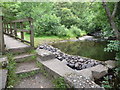 Footbridge, dam and pool on the Nant Clydach