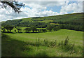 Pasture and hillside near Ysbyty Cynfyn