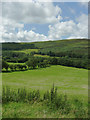 Pasture and hillside near Ysbyty Cynfyn