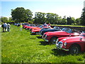 Field in Church Brough