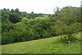 Pasture near Fosse Bridge