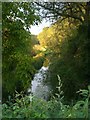 The eastern branch of the River Test, at Longstock