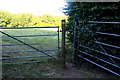 Footpath past the gate