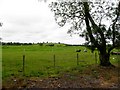 Leveroge Townland