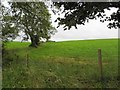 Clontonakelly Townland