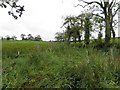 Lisnagullagh Townland