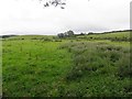 Carricknaveagh Townland