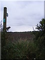 Footpath to Low Road, Friston