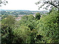 Part of Bridgnorth from above Hermitage Hill Coppice