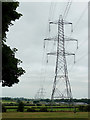 Farmland with pylons south of Aldridge, Walsall