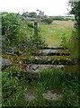 Cornish stile near Towednack