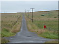 Egilsay: southward view along the road