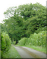 Farm road east of Stags Head, Ceredigion