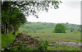 Farmland east of Stags Head, Ceredigion