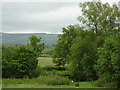 Farmland west of Stags Head, Ceredigion