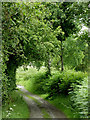 Farm track west of Stags Head, Ceredigion