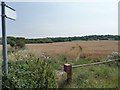 SE3714 : Footpath across a wheatfield by Christine Johnstone