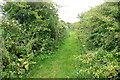 Bridleway to Higher Trenowin