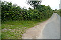 Lane towards Lower Trenowin