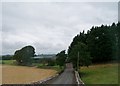 Private farm road leading from the Strangford Road