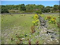 Footpath off Lamb Hall Road, Longwood