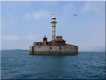 SY7076 : Lighthouse on Eastern Breakwater by Nigel Mykura