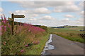 NT4939 : Signpost, Buckholm Circular walk by Jim Barton