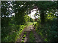 Hangers Way Footpath