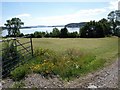 Small lochside meadow by entrance to Sallochy