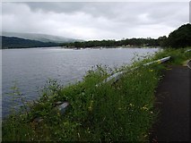 NS3498 : Looking towards Inverbeg jetty from Loch Lomond lakeside by David Gearing