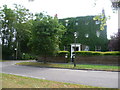 Ivy-covered house in Ham Street